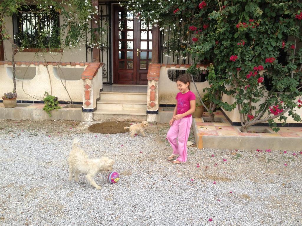 Bed and Breakfast Dar Salima à Mornag Extérieur photo